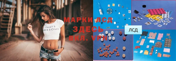 ПСИЛОЦИБИНОВЫЕ ГРИБЫ Елизово