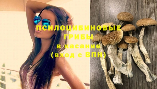 прущий лед Ельня