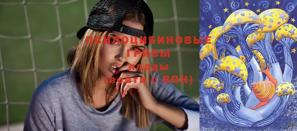 ПСИЛОЦИБИНОВЫЕ ГРИБЫ Елизово