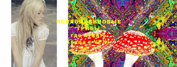 тгк Елабуга
