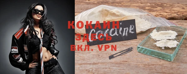 прущий лед Ельня