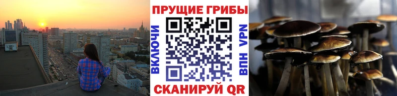 Псилоцибиновые грибы Magic Shrooms  даркнет сайт  Духовщина 